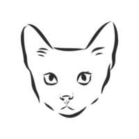 cat vector sketch