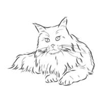 cat vector sketch