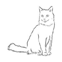 bosquejo del vector del gato