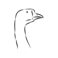 goose vector sketch