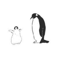 penguin vector sketch