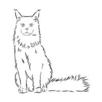 cat vector sketch