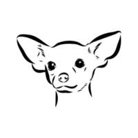 dibujo vectorial chihuahua vector