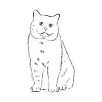 cat vector sketch