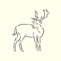 deer vector sketch
