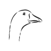 goose vector sketch