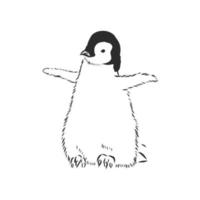 penguin vector sketch