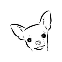 dibujo vectorial chihuahua vector