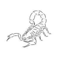 scorpio vector sketch