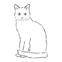 bosquejo del vector del gato