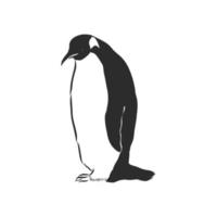 penguin vector sketch