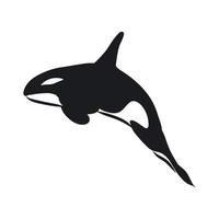 killer whale vector sketch