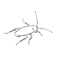 dibujo vectorial de cucaracha vector