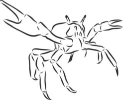 dibujo vectorial de cangrejo vector