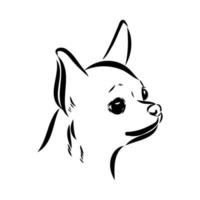 dibujo vectorial chihuahua vector