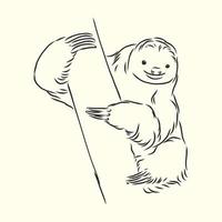 sloth vector sketch