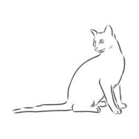 cat vector sketch