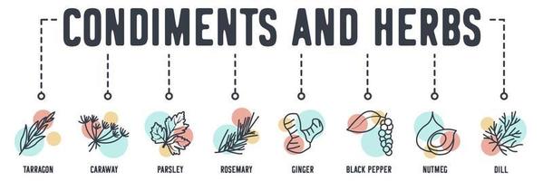 condiments and herbs banner web icon. tarragon, caraway, parsley, rosemary, ginger, black pepper, nutmeg, dill vector illustration concept.