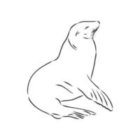 seal vector sketch