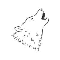 dibujo vectorial de lobo vector