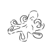 octopus vector sketch