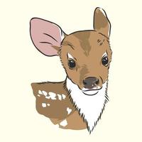 deer vector sketch