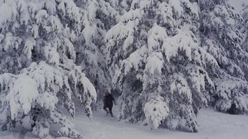 menino andando na floresta de neve. criança andando com força na floresta devido à neve espessa.