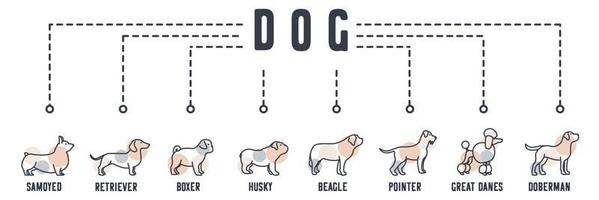 Dog banner web icon. labrador, poodle, schnauzer, st bernard, bulldog, pug puppy, dachshund, welsh corgi vector illustration concept.