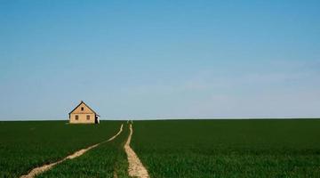 road in the middle of a green field photo