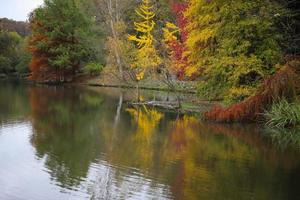 bosque y lago durante el otoño foto