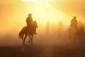 caballos yilki corriendo en el campo, kayseri, turquía foto