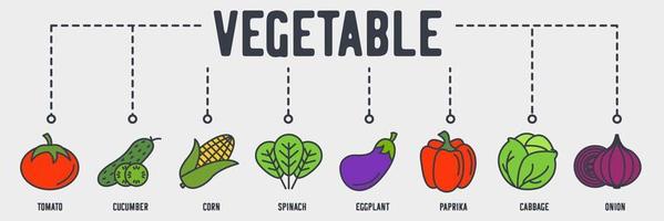 icono de web de banner vegetal vegetariano. tomate, pepino, maíz, espinacas, berenjena, paprika, repollo, concepto de ilustración vectorial de cebolla. vector