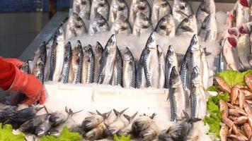 pesce e sgombro nel corridoio. il pescivendolo sta mettendo il pesce sul bancone. il pesce sgombro attira l'attenzione. video