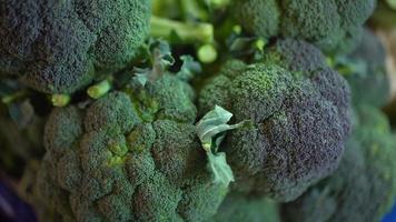 brocoli. brocoli sur le comptoir. video