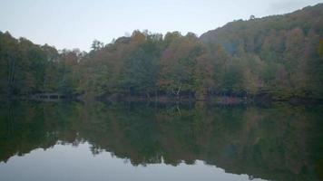 lago y árboles coloridos en otoño. árboles coloridos se reflejan en el lago en otoño. video