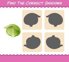 Find the correct shadows of cartoon iceberg lettuce. Searching and Matching game. Educational game for pre shool years kids and toddlers vector