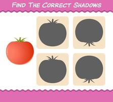 encuentra las sombras correctas del tomate de dibujos animados. juego de búsqueda y combinación. juego educativo para niños y niños pequeños en edad preescolar vector