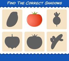 Find the correct shadows of cartoon tomato. Searching and Matching game. Educational game for pre shool years kids and toddlers vector