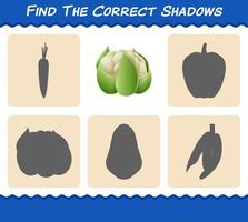 encuentra las sombras correctas de la coliflor de dibujos animados. juego de búsqueda y emparejamiento. juego educativo para niños de edad preescolar y niños pequeños vector