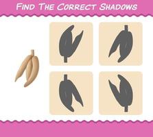 Find the correct shadows of cartoon cassava. Searching and Matching game. Educational game for pre shool years kids and toddlers vector