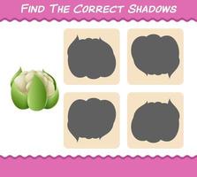 Find the correct shadows of cartoon cauliflower. Searching and Matching game. Educational game for pre shool years kids and toddlers vector
