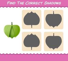 encuentra las sombras correctas del tomatillo de dibujos animados. juego de búsqueda y emparejamiento. juego educativo para niños de edad preescolar y niños pequeños vector