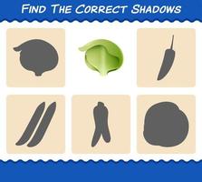 encuentra las sombras correctas de la lechuga iceberg de dibujos animados. juego de búsqueda y combinación. juego educativo para niños y niños pequeños en edad preescolar vector