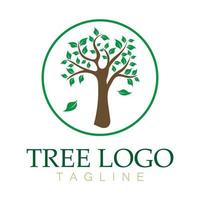 árbol logo icono vector ilustración design.vector silueta de un árbol plantillas de árbol logo y raíces árbol de la vida diseño ilustración