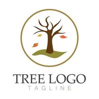 árbol logo icono vector ilustración design.vector silueta de un árbol plantillas de árbol logo y raíces árbol de la vida diseño ilustración