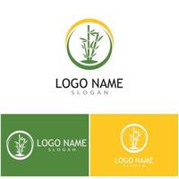 Bamboo Logo Template vector icon illustration design