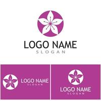 Beauty plumeria icon flowers design illustration Template vector