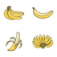 Hand Drawn Set Banana Half Peeled Bunch Ripe Fruit Vector Isolated