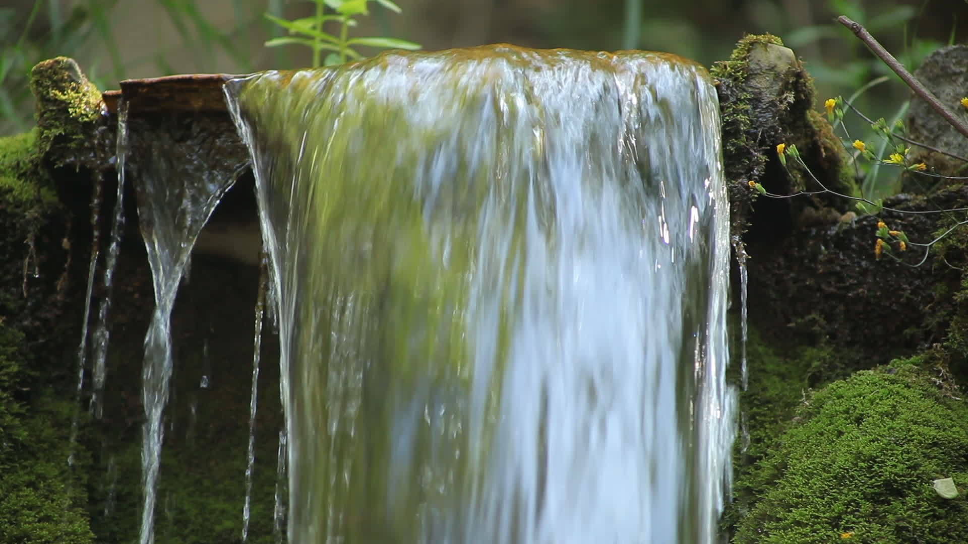 Wonderful freshwater stream waterfalls, Flowing river. small waterfall 8693763 Stock Video at