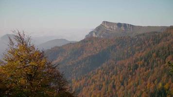 bewolkte bergen en bos in de herfst. prachtig uitzicht op wolken en kleurrijke bomen in de herfst. video